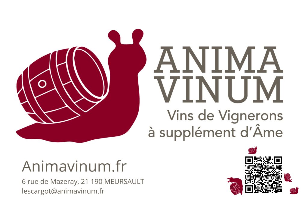 ANIMA VINUM CHASSAGNE HORIZONTAL(1) (002)
